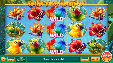 Wild Tropic Bird Slot Grátis